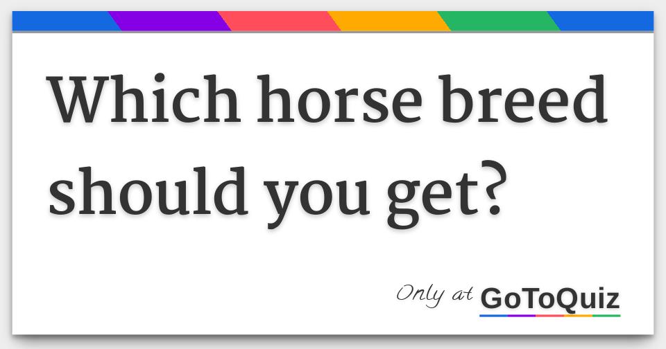 Which horse breed should you get?