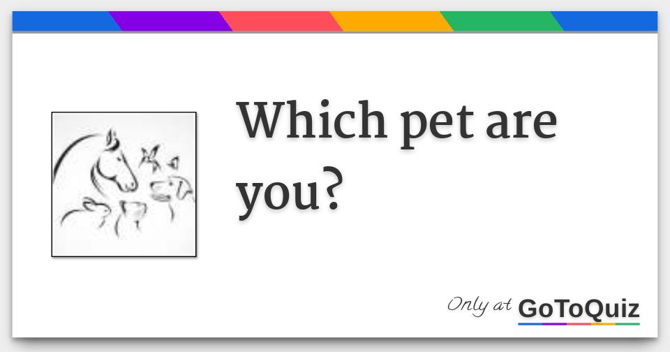 Which pet are you?