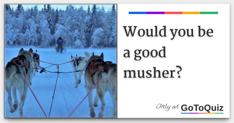Would You Be A Good Musher would-you-be-a-good-musher