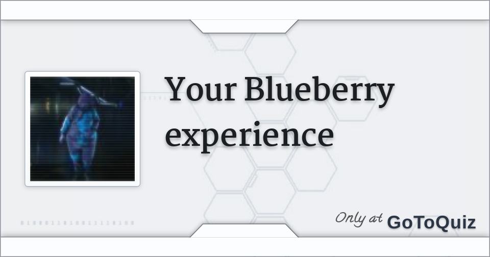 your blueberry experience how do you make your own clothes on roblox