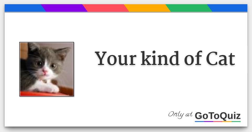 Your kind of Cat