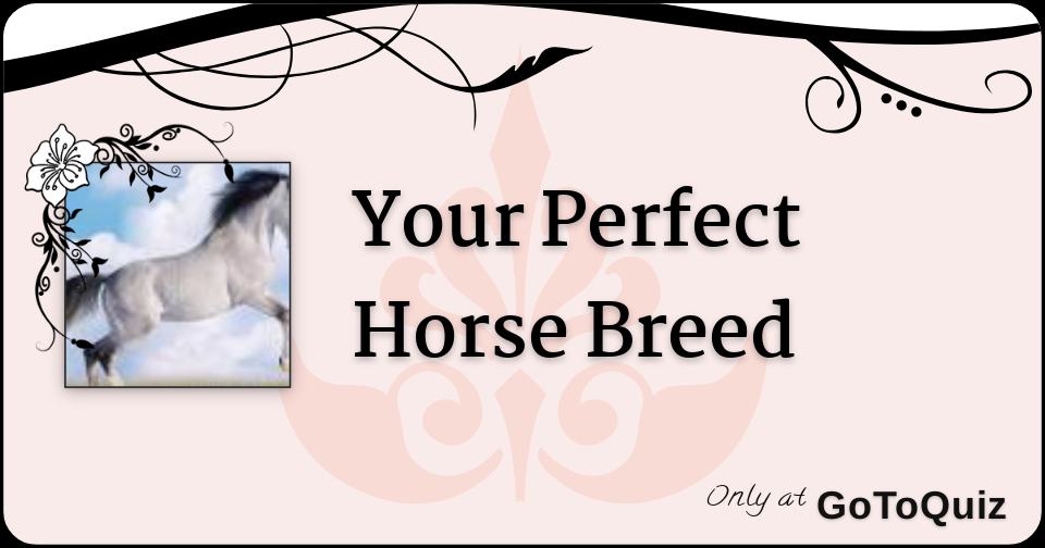 Your Perfect Horse Breed