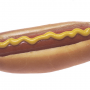 Quiz Image