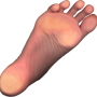 Quiz Image