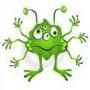 Quiz Image