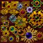 Quiz Image