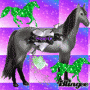 Quiz Image