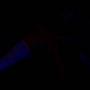Quiz Image