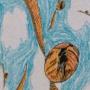 Quiz Image
