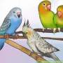 Quiz Image