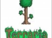 Quiz for Terraria Wiki by issam el hab