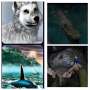 Quiz Image