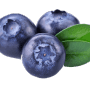 Quiz Image