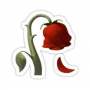 Quiz Image