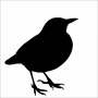 Quiz Image