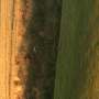 Quiz Image