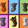 Quiz Image