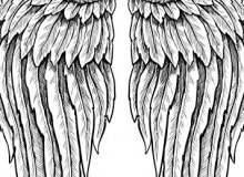 Quiz Image
