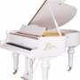 Quiz Image