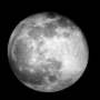 Quiz Image