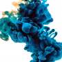 Quiz Image