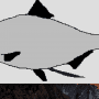 Quiz Image
