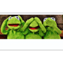 Quiz Image
