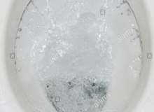Quiz Image