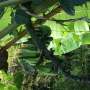 Quiz Image