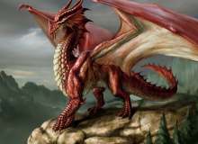 Quiz Image