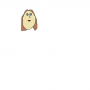 Quiz Image