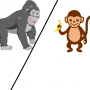 Quiz Image