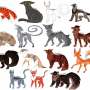 Quiz Image