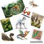 Quiz Image
