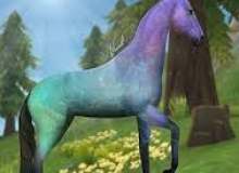 Quiz Image