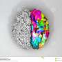Quiz Image