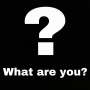 Quiz Image