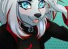 Quiz Image
