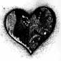Quiz Image