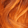Quiz Image