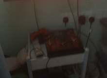 Quiz Image
