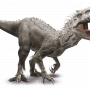 Quiz Image