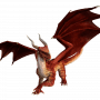 Quiz Image