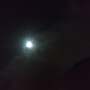 Quiz Image
