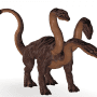 Quiz Image