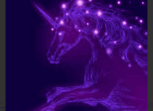 Quiz Image