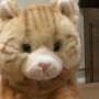 Quiz Image