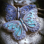 Quiz Image