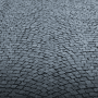 Quiz Image