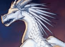 Quiz Image